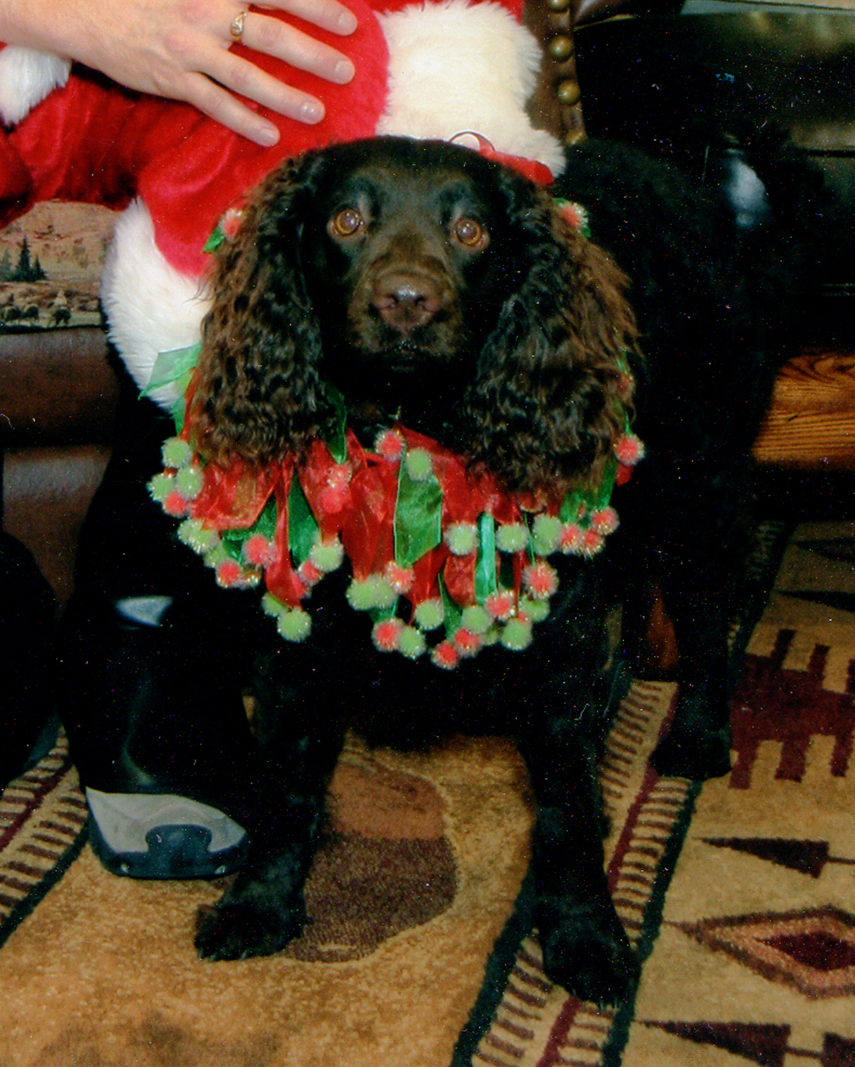 haleyxmass2008.jpg